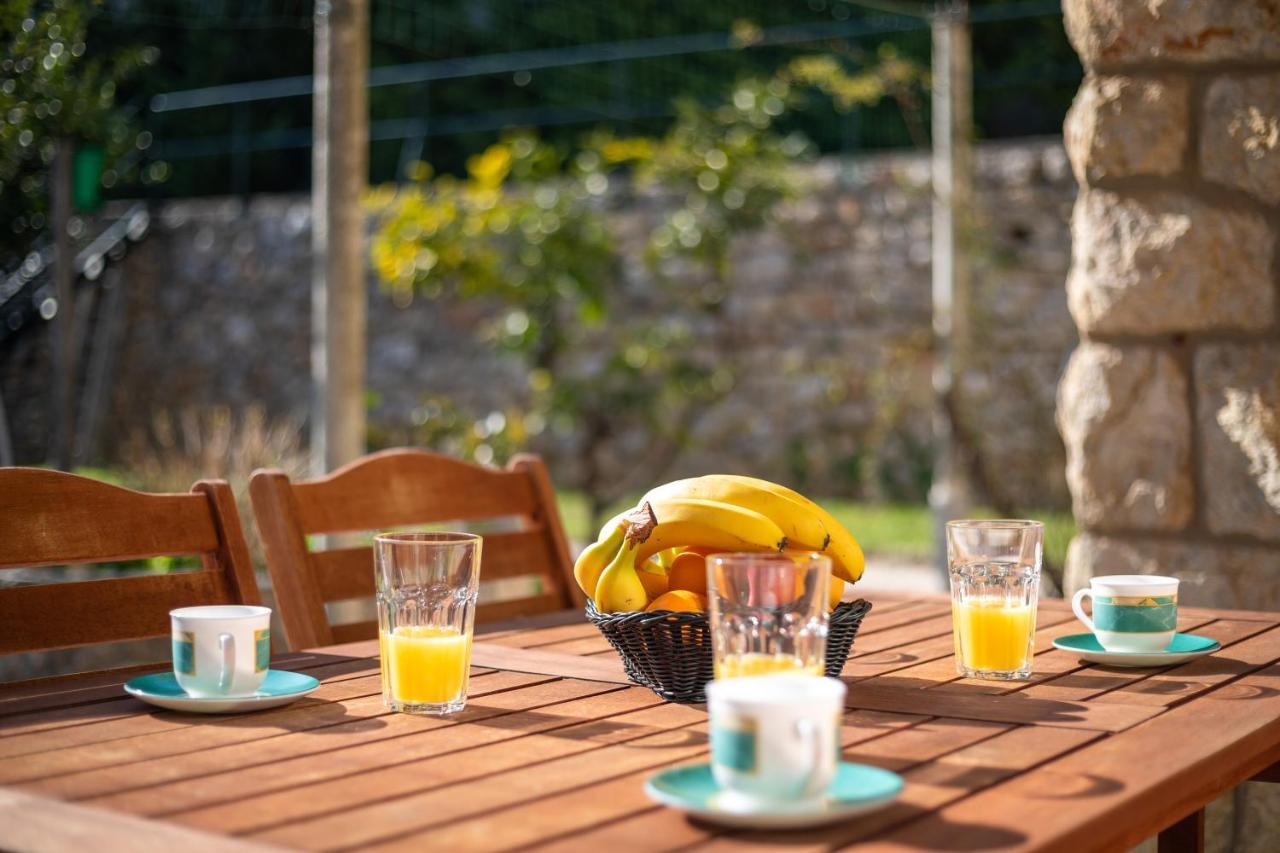 Apartment Villa Ahava Garden Dubrovnik Dış mekan fotoğraf